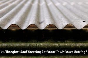 Image presents Is Fibreglass Roof Sheeting Resistant To Moisture Rotting